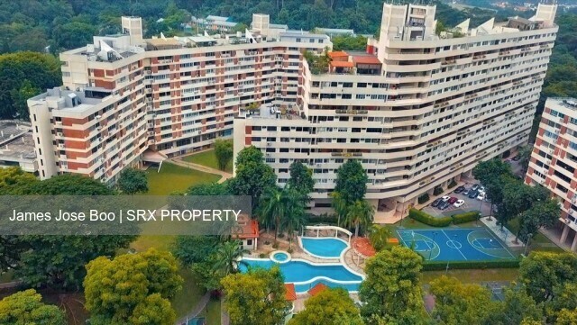 Pandan Valley (D21), Condominium #622528461